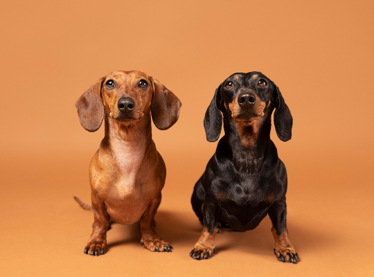 e7c212b71f580269e29f244d487b0d9e